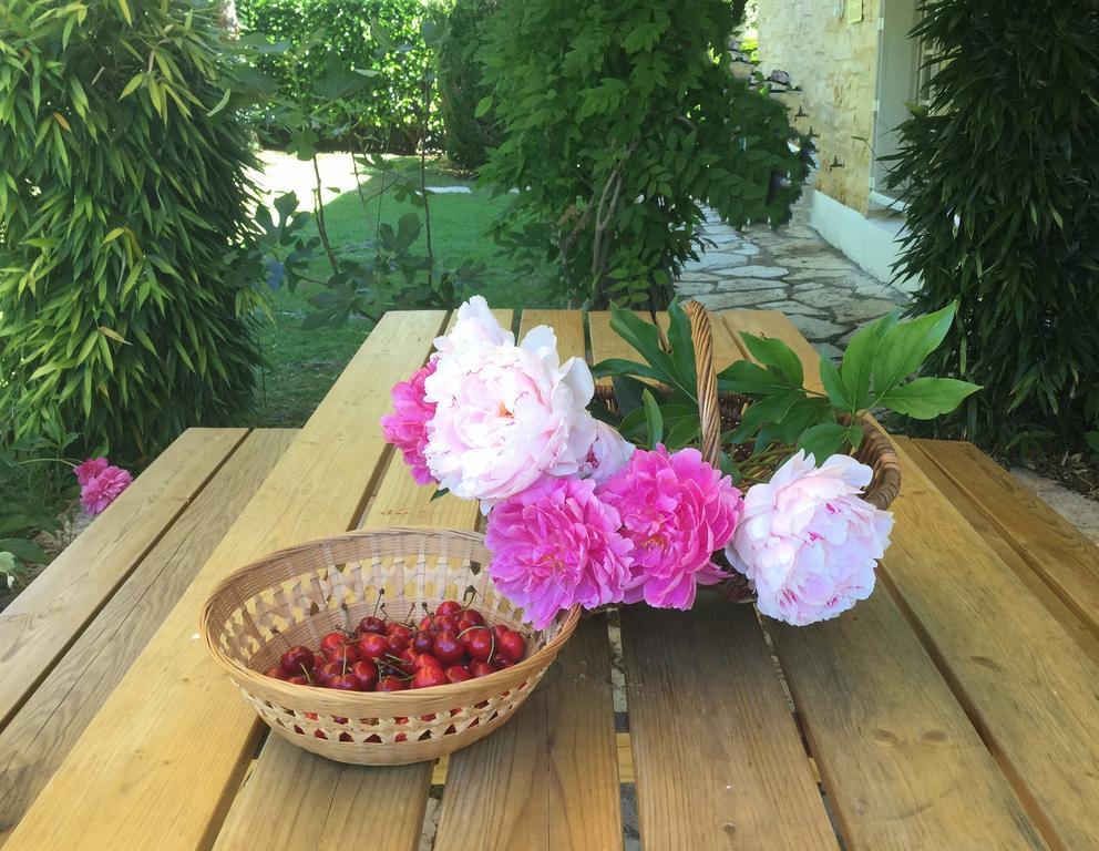 Le Balcon Des Jasses Bed and Breakfast Espere Buitenkant foto
